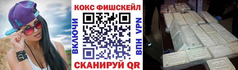 Cocaine Fish Scale  сколько стоит  hydra зеркало  Жиздра 
