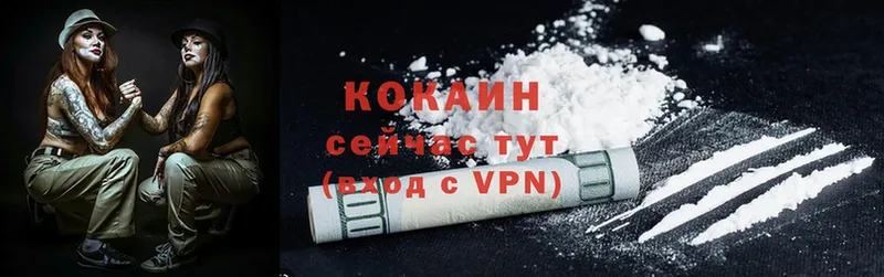 где продают   Жиздра  Cocaine 98% 