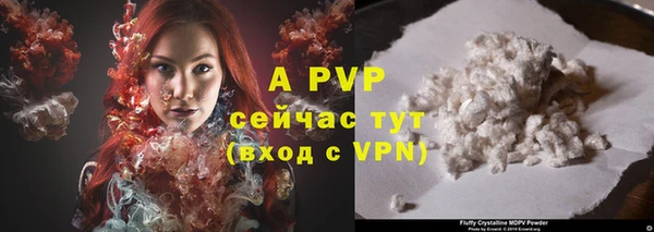 гашик Новокубанск
