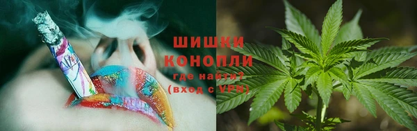 трава Новозыбков