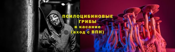 трава Новозыбков