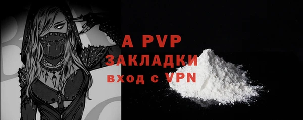 гашик Новокубанск