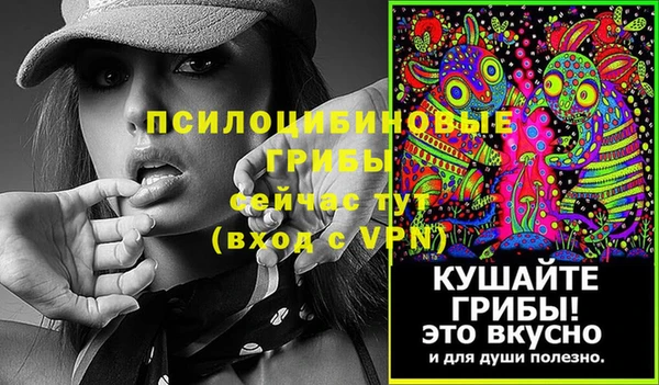 гашик Новокубанск