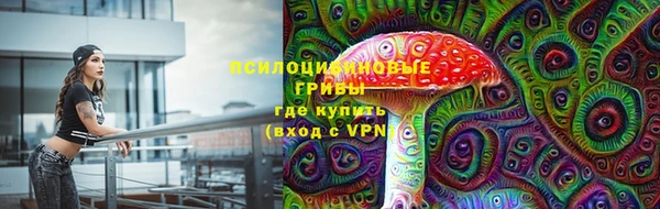 круглые Новодвинск