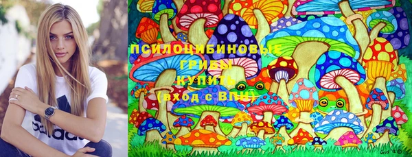 круглые Новодвинск
