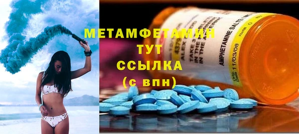 трава Новозыбков