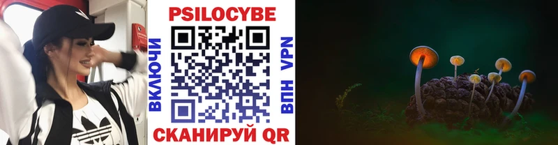 цена   Жиздра  сайты даркнета официальный сайт  Галлюциногенные грибы Cubensis 